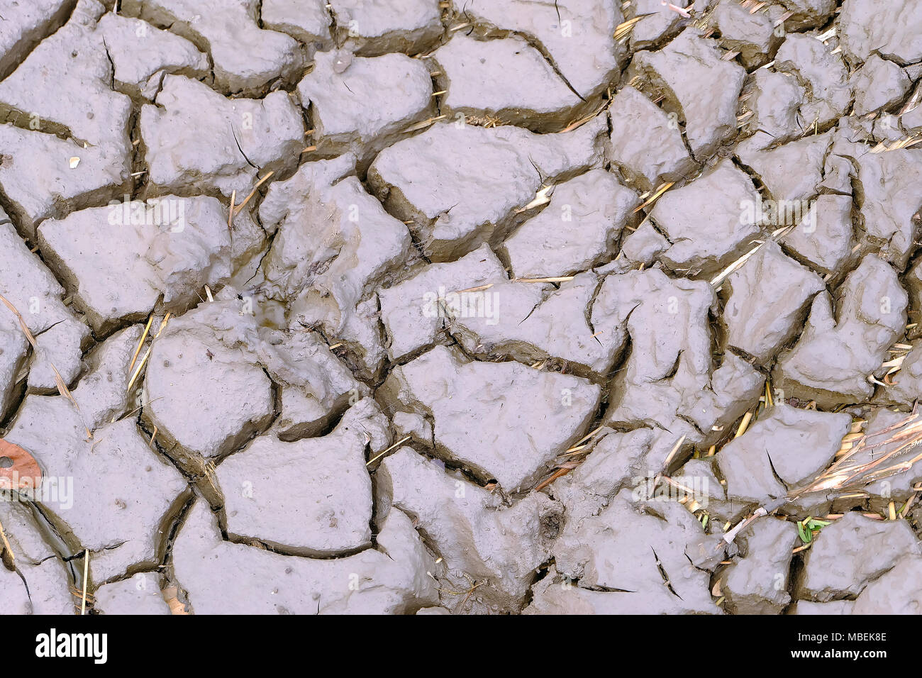 Résumé de la surface de la boue, des fissures du terrain dans la sécheresse, la texture du sol et de la boue sèche, la sécheresse de l'environnement Banque D'Images
