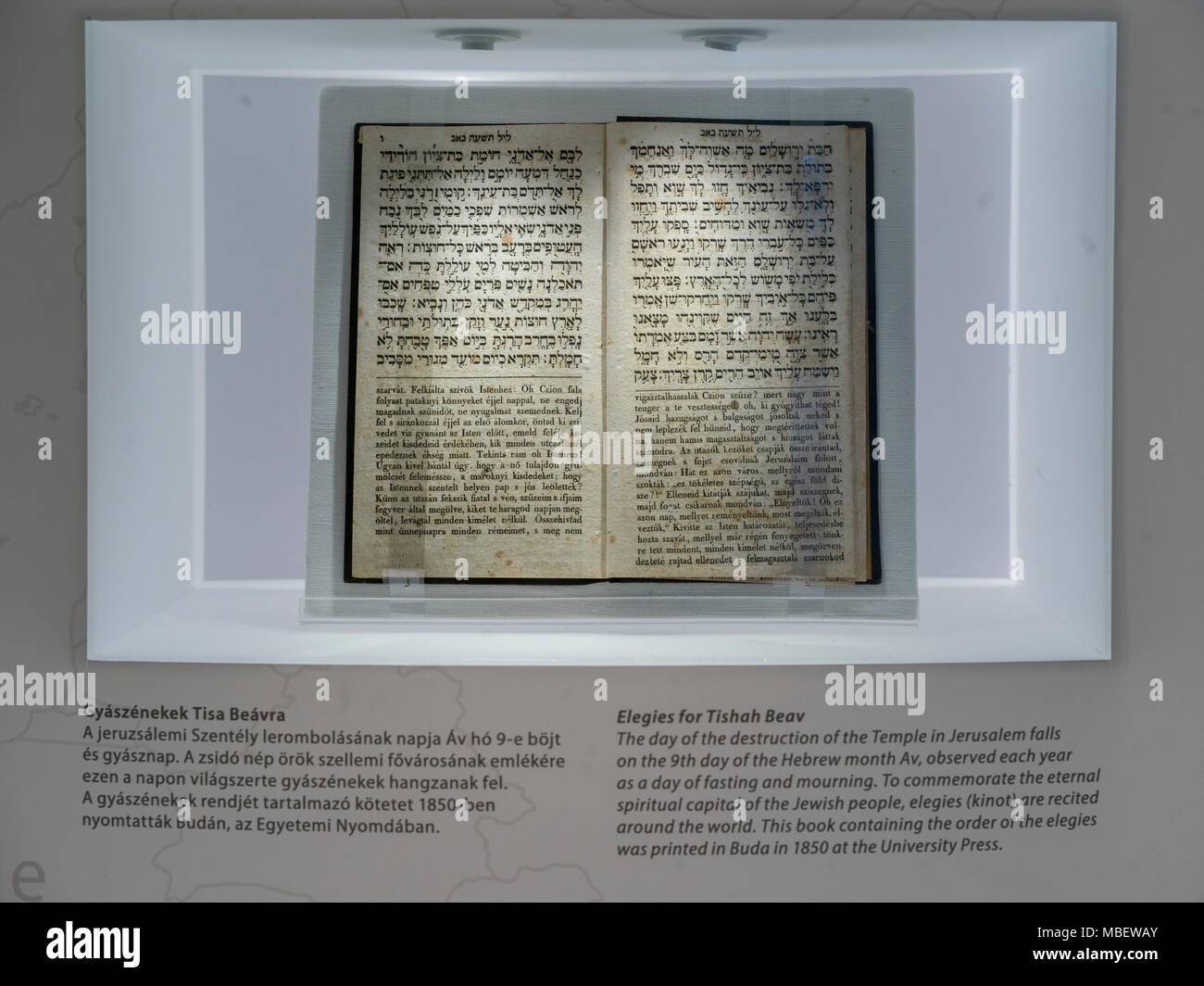 Close-up of saint livre dans Musée Juif, Grande Synagogue, rue Dohany, Budapest, Hongrie Banque D'Images