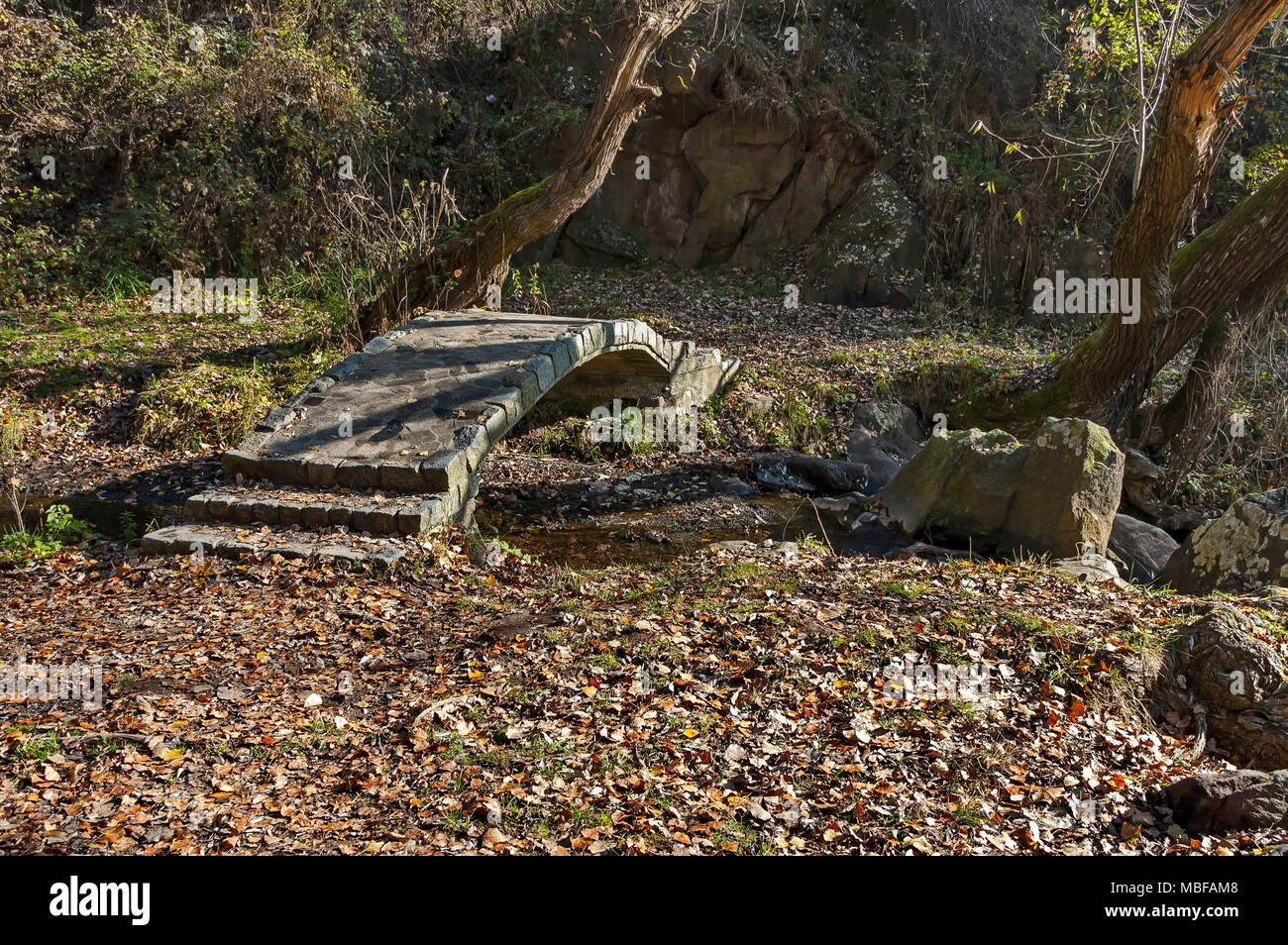 Pont sur ruisseau de montagne près de Lokorsko, Sofia, Bulgarie Banque D'Images