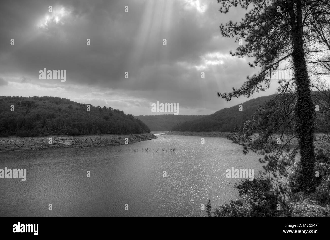 Le lac de Guerlédan est d'être vidangée entre avril et novembre 2015, Côtes-d'Armor, Bretagne, France. Banque D'Images