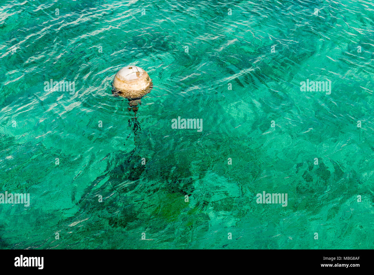 Une vieille bouée blanche flottant dans l'eau turquoise transparente de la Méditerranée sur l'île de Majorque. Banque D'Images