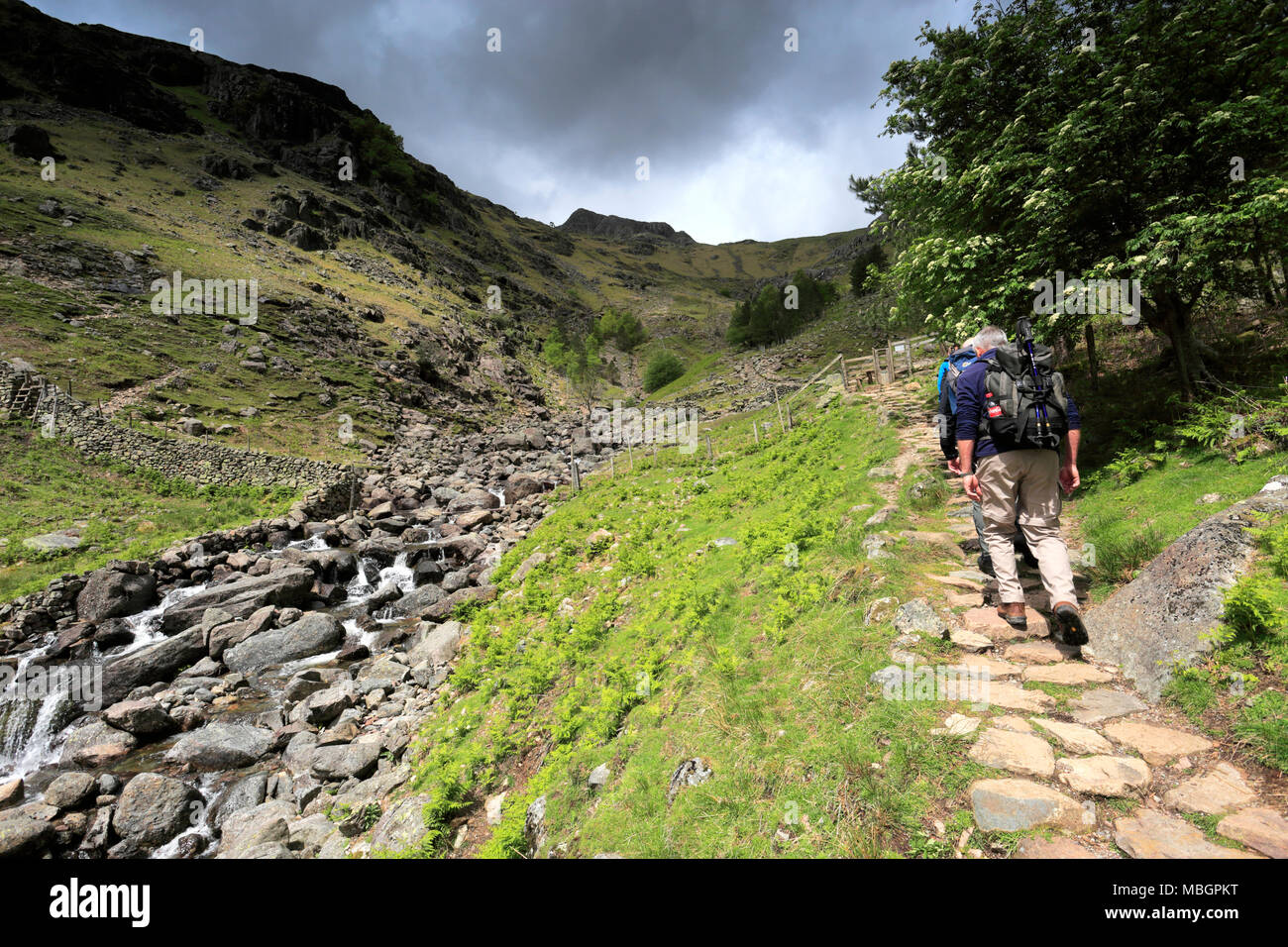 Les randonneurs le long de Dungeon Ghyll, Langdale, Parc National de Lake District, Cumbria, England, UK Banque D'Images