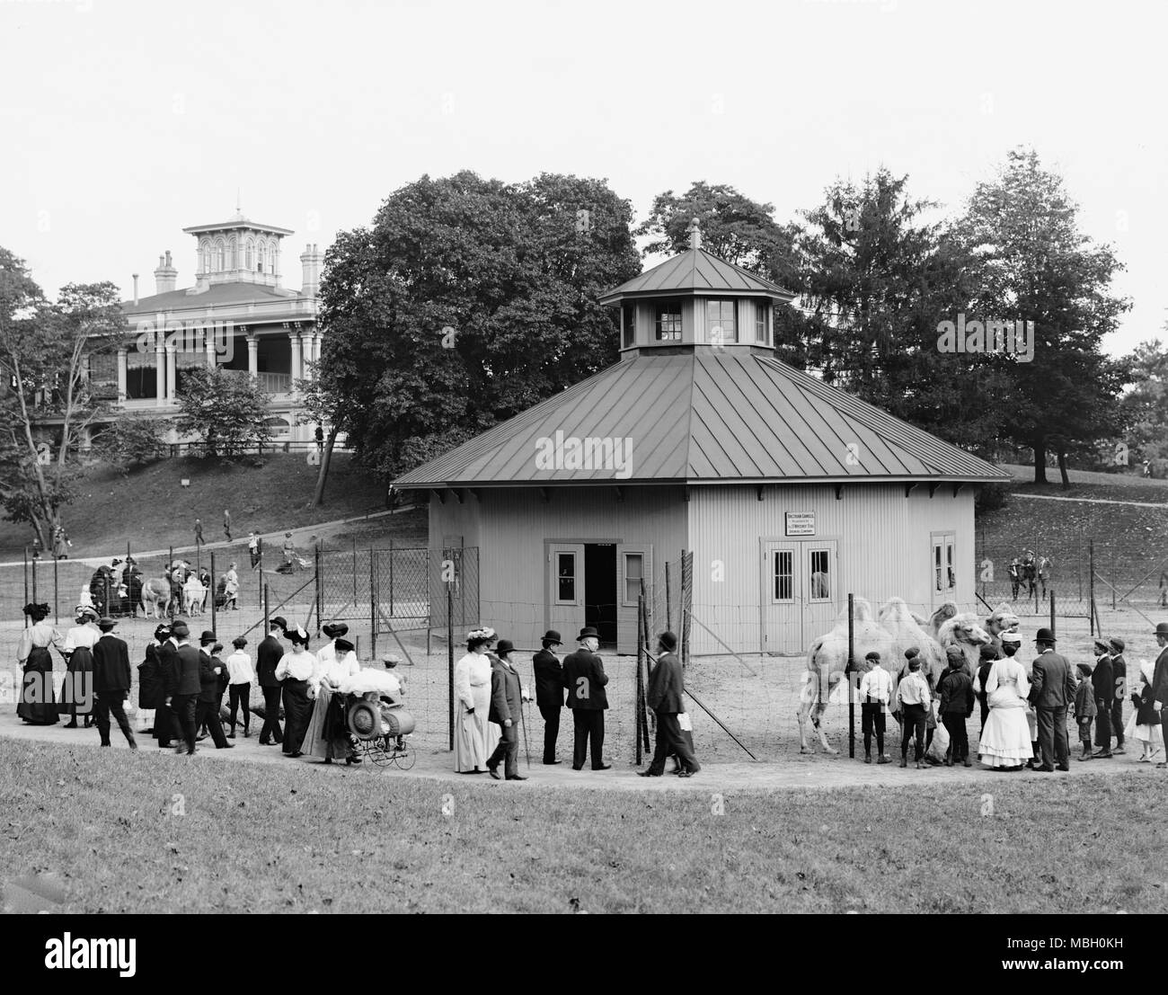 Zoo, Druid Hill Park Banque D'Images