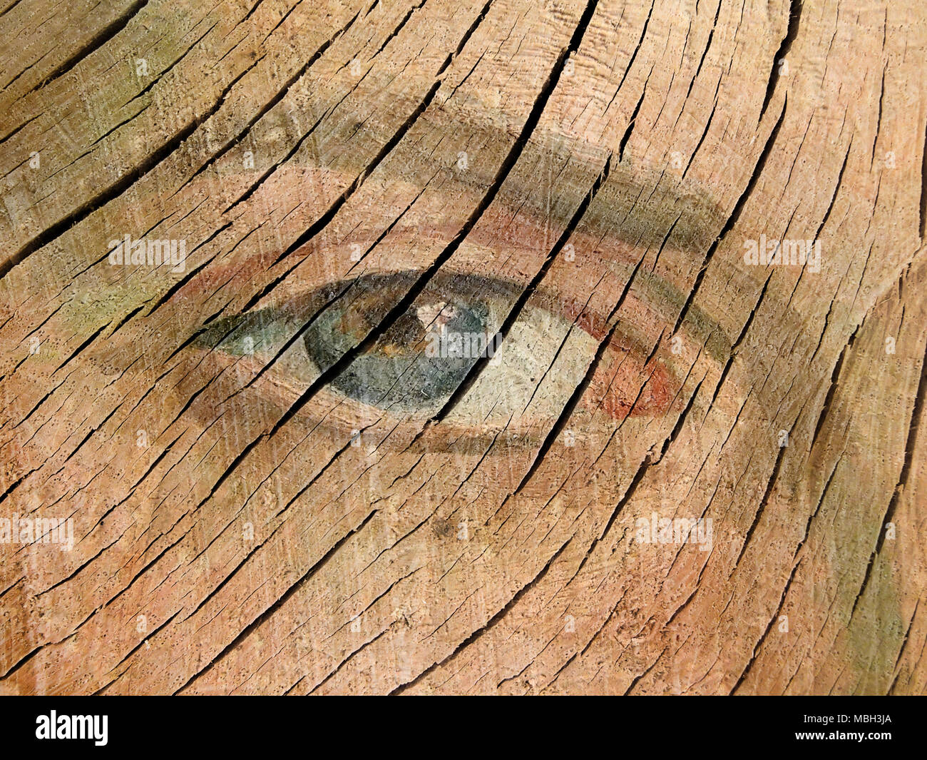 Texture fine et des yeux peints sur bois Banque D'Images