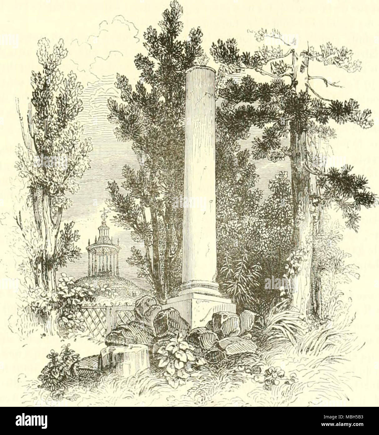 'Le Jardin des Plantes : description' (1851) Banque D'Images