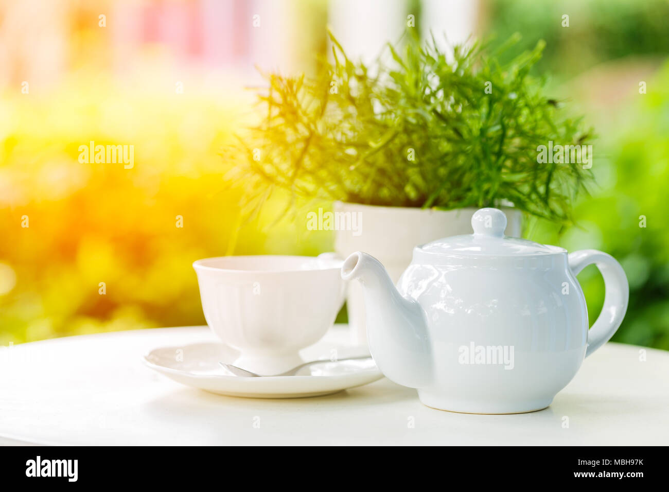 Tasse de thé et une théière sur un arrière-plan flou de la nature Banque D'Images