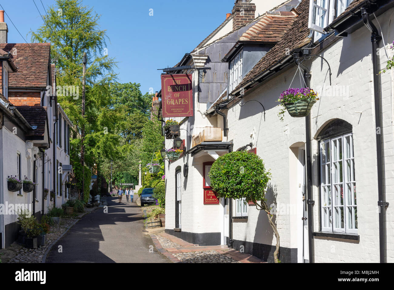 La grappe de raisins, St Peters Street, Bishop's Waltham, Hampshire, Angleterre, Royaume-Uni Banque D'Images