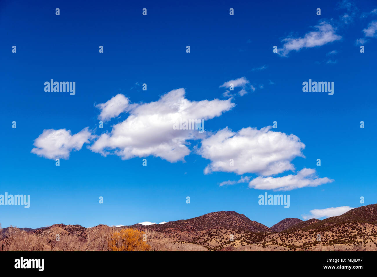Cumulous Puffy nuages contre un ciel bleu clair au Colorado Banque D'Images