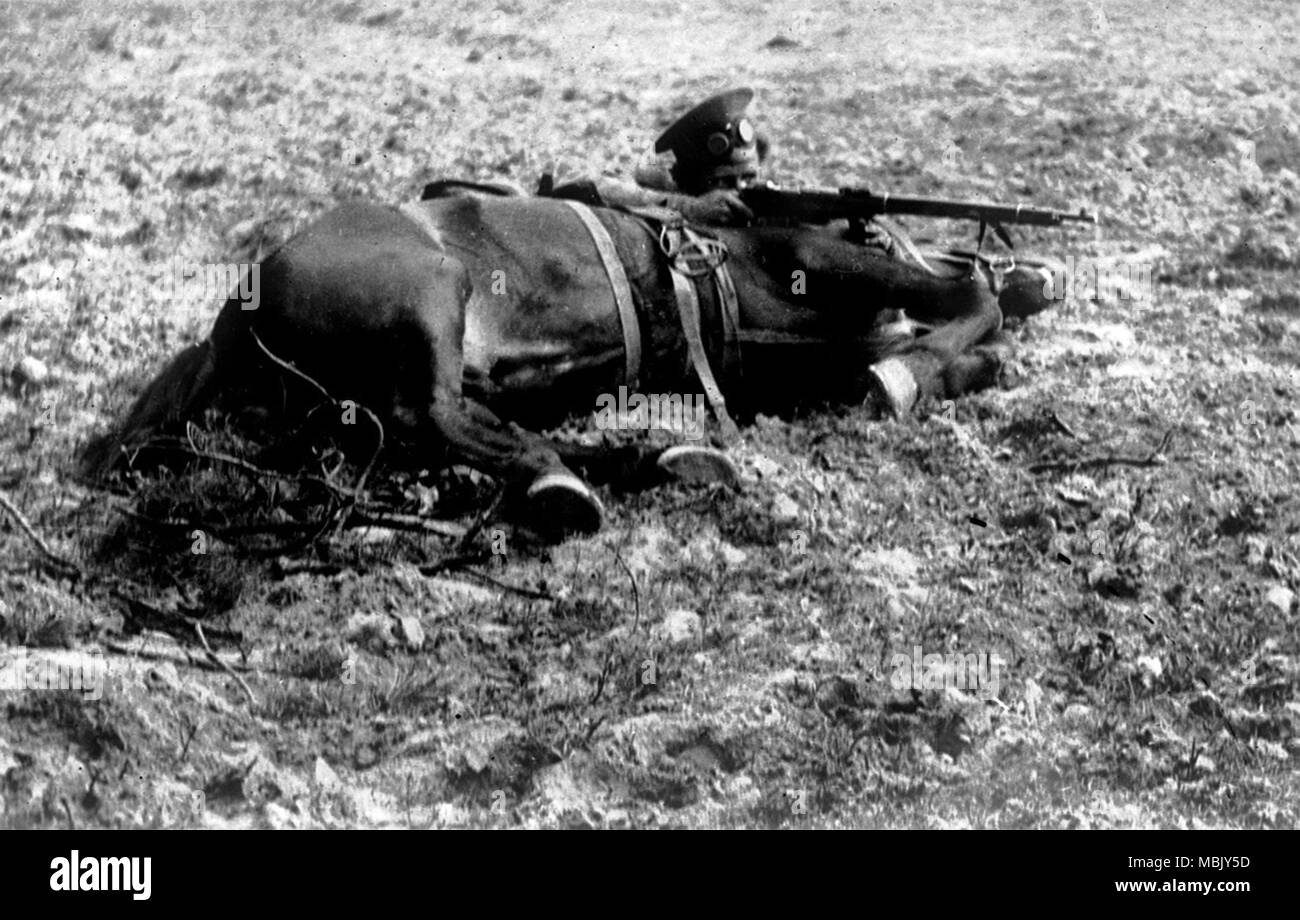 Couverture cheval Banque D'Images