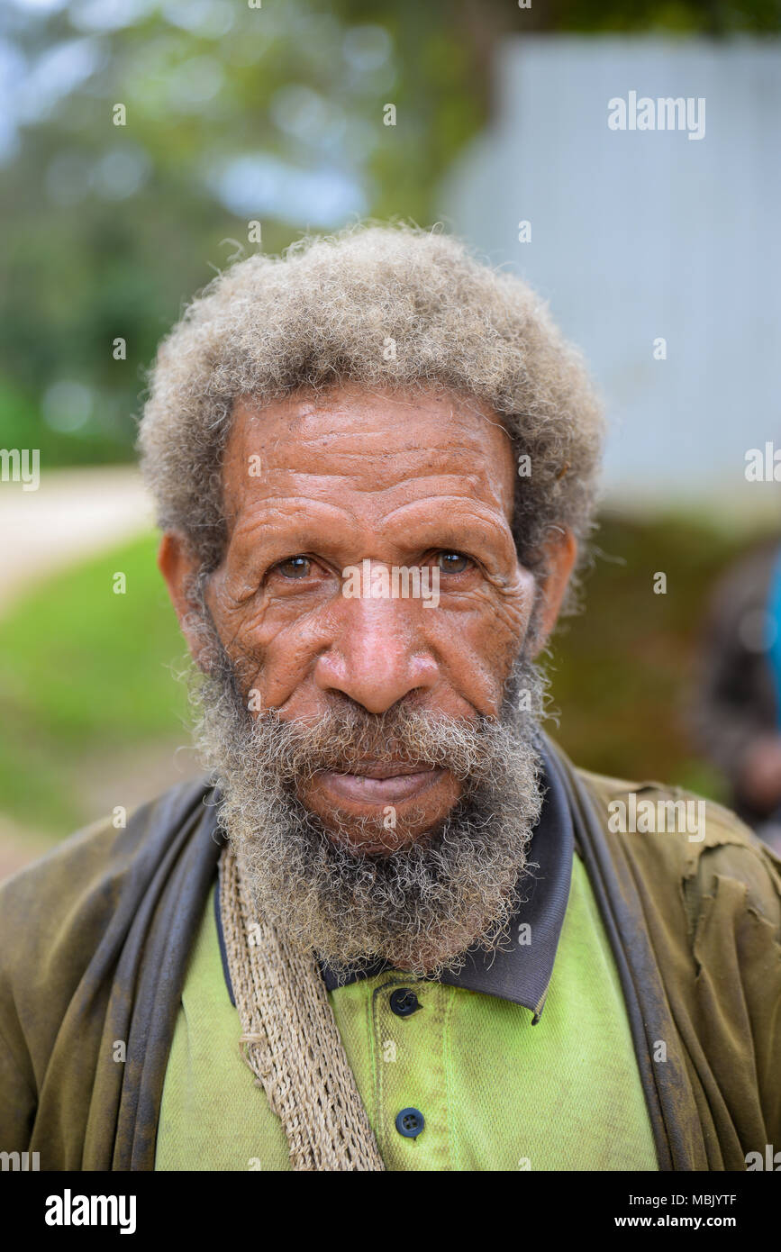 Portrait d'un homme barbu, adultes Tari Valley, Papouasie Nouvelle Guinée Banque D'Images
