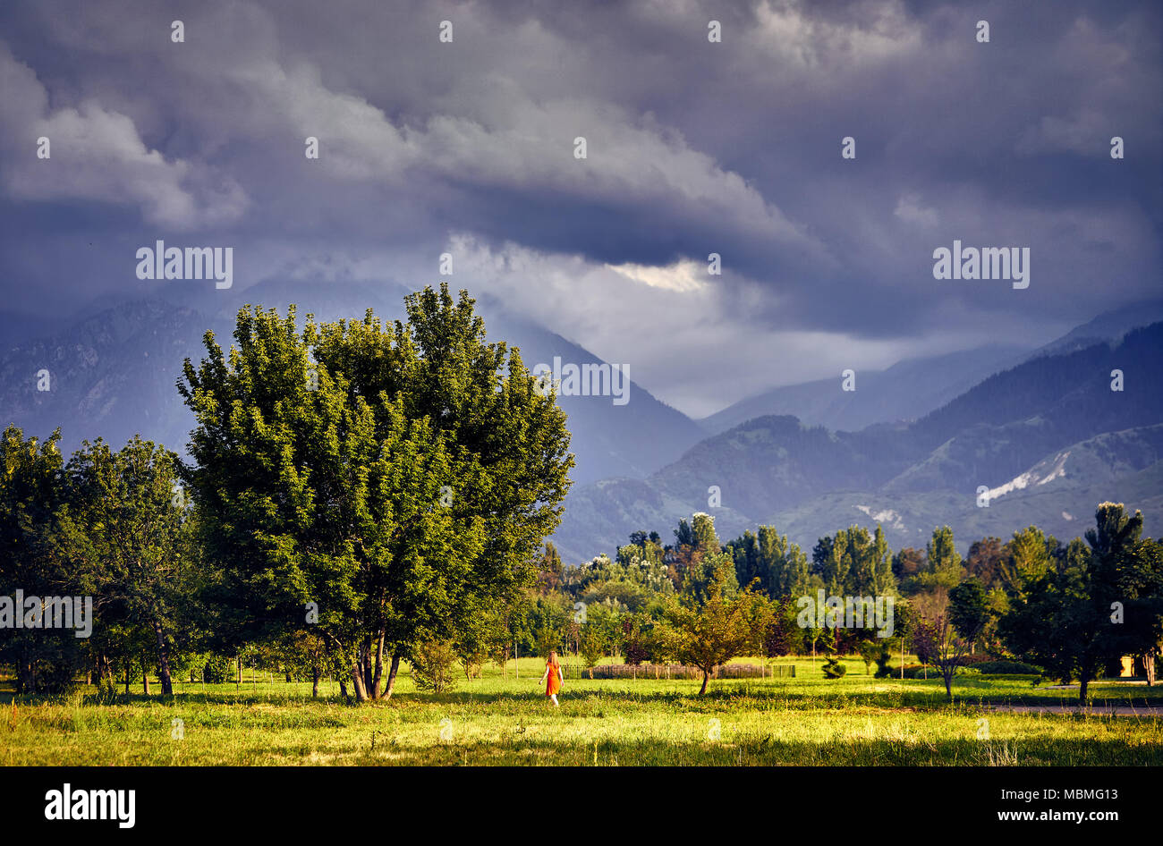 Femme en robe rouge à pied de grand arbre dans le parc avec cloudy mountains à Almaty, Kazakhstan Banque D'Images