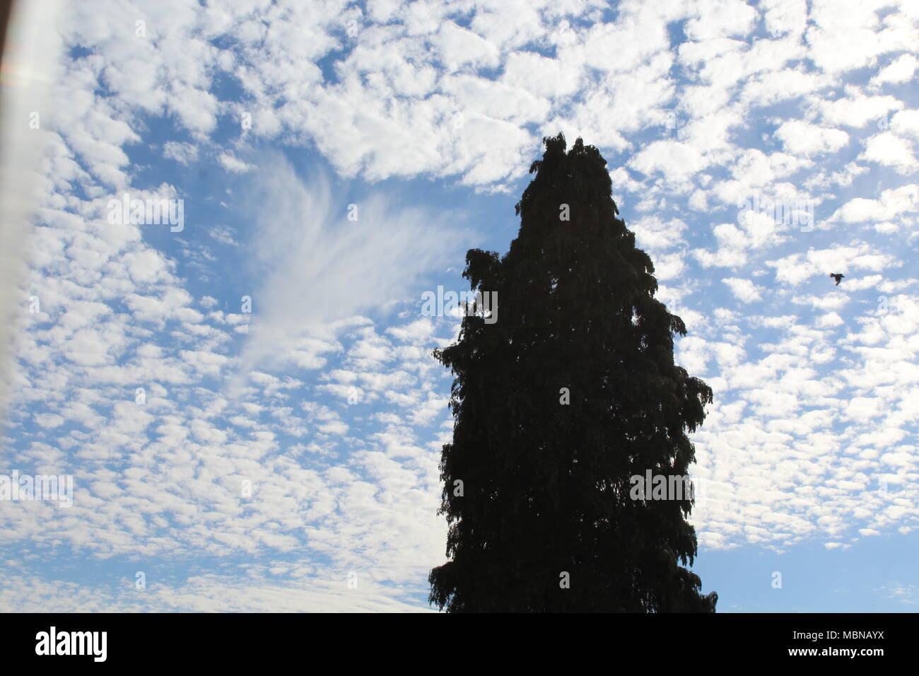 Nuage de perforation en forme de coeur Banque D'Images