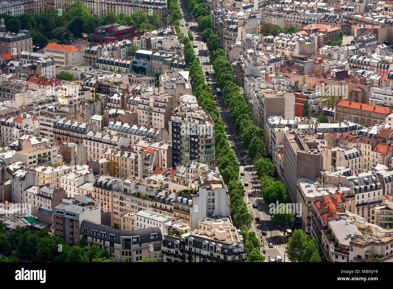 Vue aérienne de l'immeuble typiquement parisien et le boulevard avec des arbres verts comme vu de la Tour Montparnasse à Paris, France . Banque D'Images