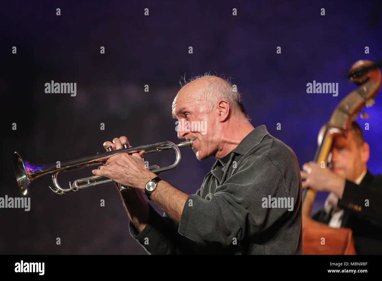 WIELICZKA, Pologne - 2 NOVEMBRE 2015 : Adam Kawonczyk Quartet jouant de la musique live au Jazz Cracovie Fête des Morts Festival dans la mine de sel de Wieliczka. Banque D'Images