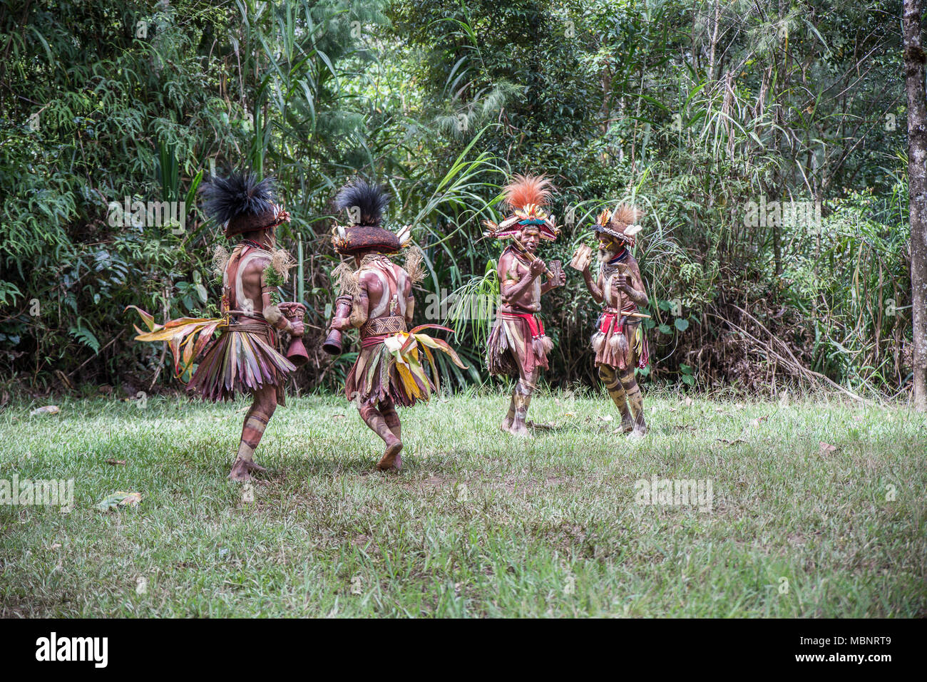 Quatre Huli wigmen au cours de danse un sing-sing performance, Tari Valley, Papouasie Nouvelle Guinée Banque D'Images