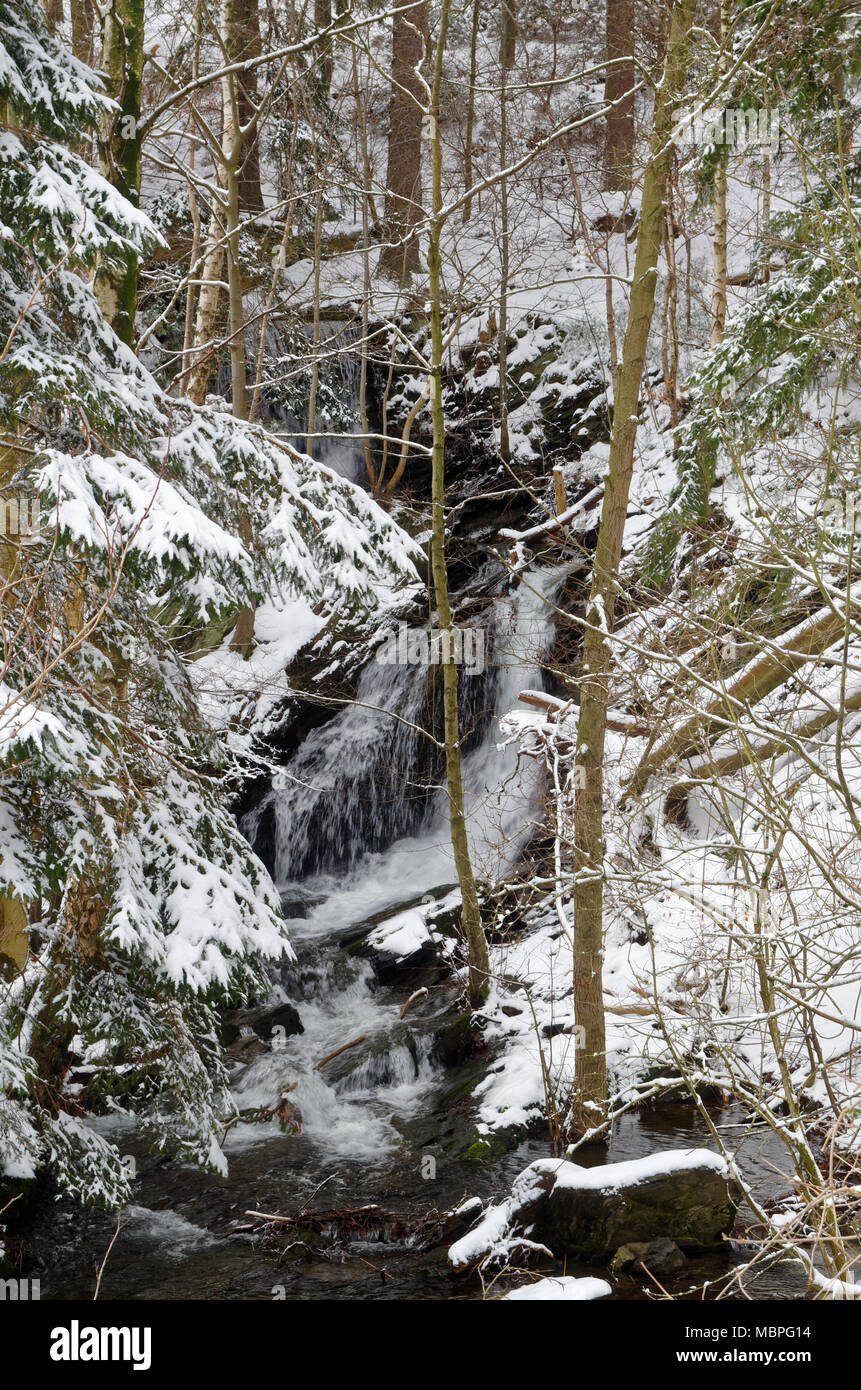 Petite cascade dans une forêt d'hiver. Situé à Goslar, à proximité de la mine de Rammelsberg, Allemagne Banque D'Images