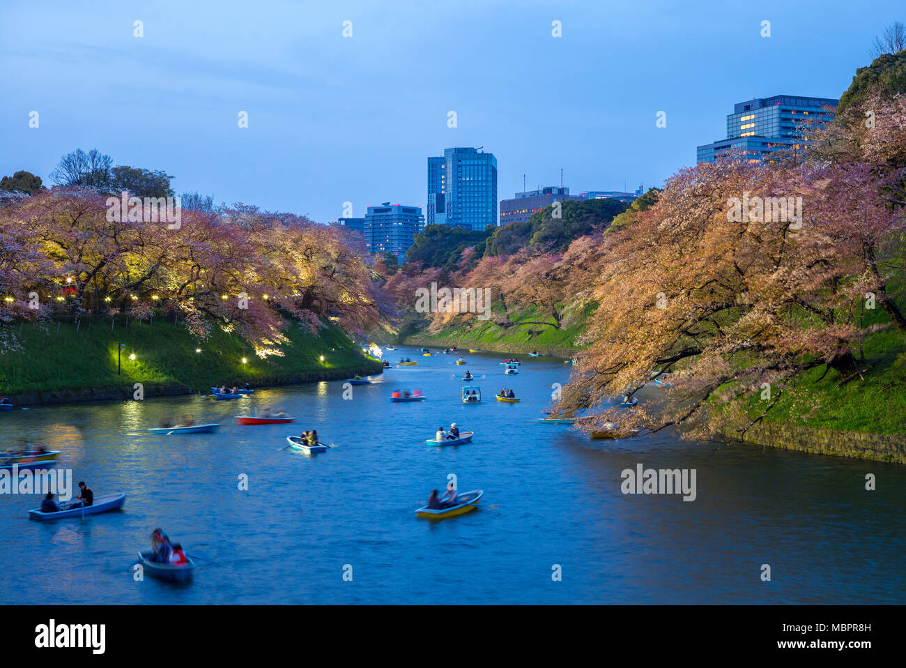 Vue de la nuit de chidori ga fuchi, Tokyo, Japon Banque D'Images
