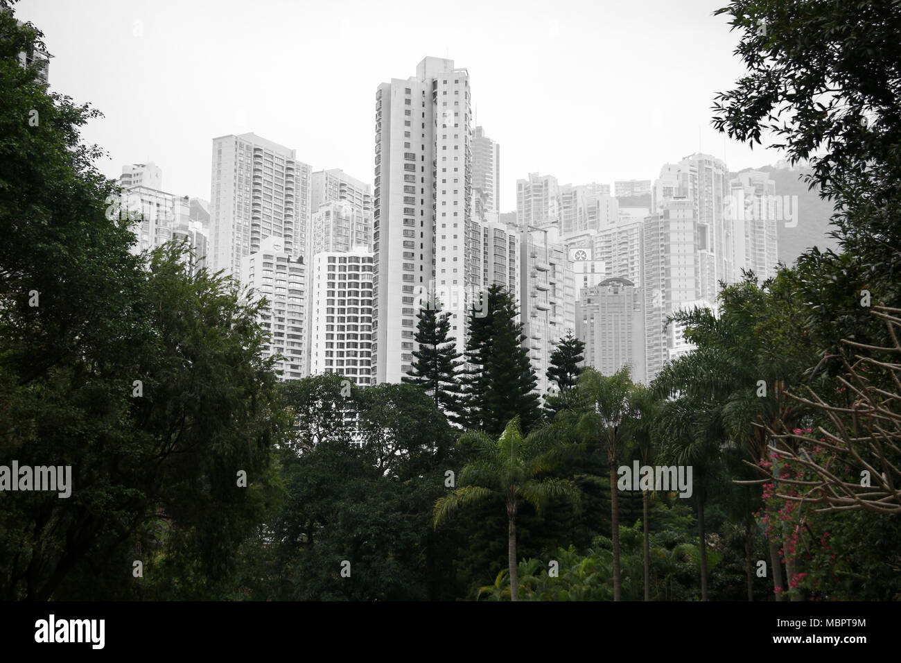 Les immeubles à appartements sur l'île de Hong Kong, Hong Kong, RAS de Chine Banque D'Images