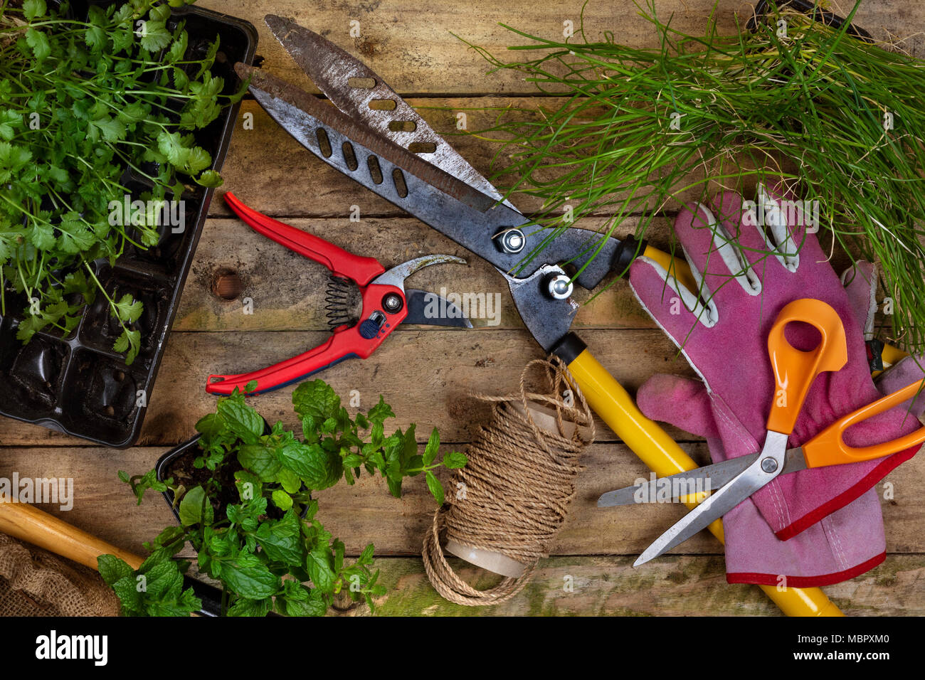 Jardinage - Horticulture. Quelques outils de jardin utilisé pour jardiner. Banque D'Images
