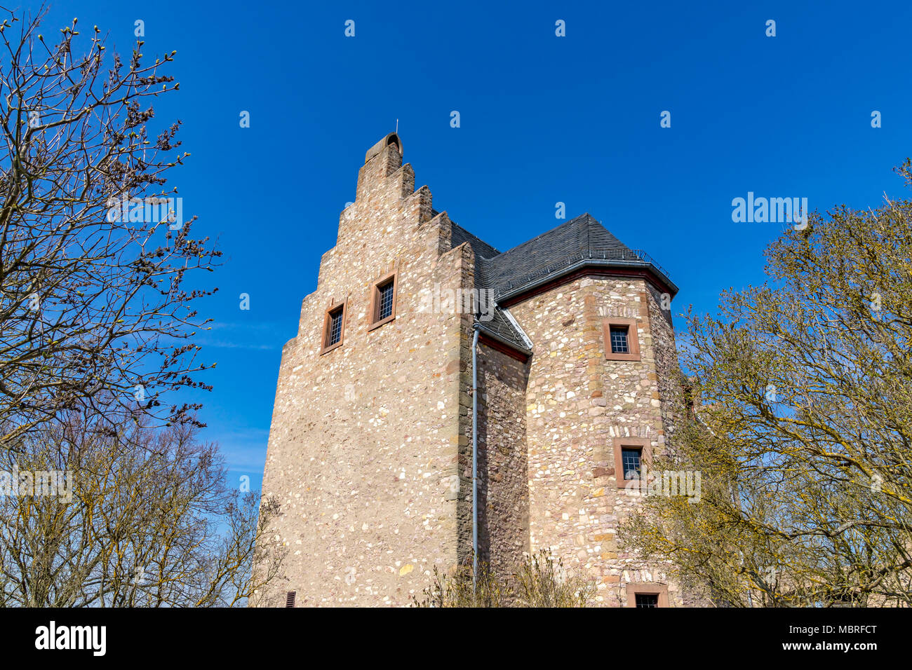 Altenbaumburg Castle est la ruine d'un château sur un éperon au-dessus de la crête en Altenbamberg Alsenz Valley en Rhénanie-Palatinat, Allemagne. Banque D'Images