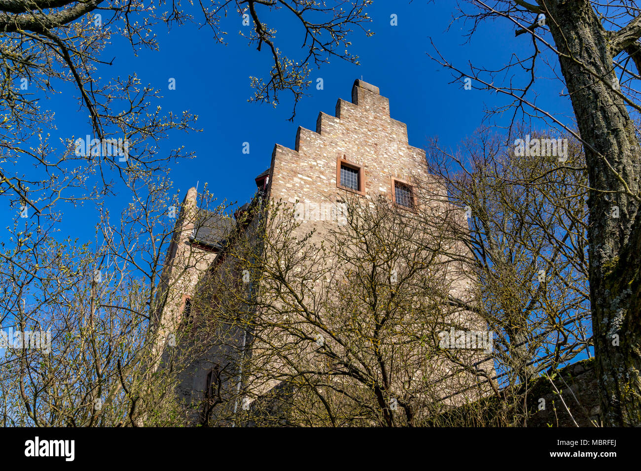 Altenbaumburg Castle est la ruine d'un château sur un éperon au-dessus de la crête en Altenbamberg Alsenz Valley en Rhénanie-Palatinat, Allemagne. Banque D'Images