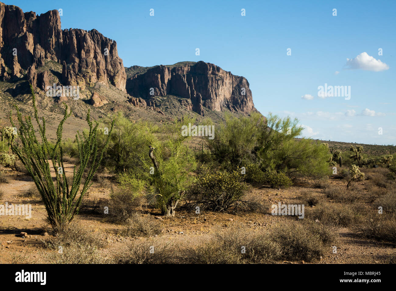 Foot Hills dans la région sauvage de la superstition en Arizona Banque D'Images