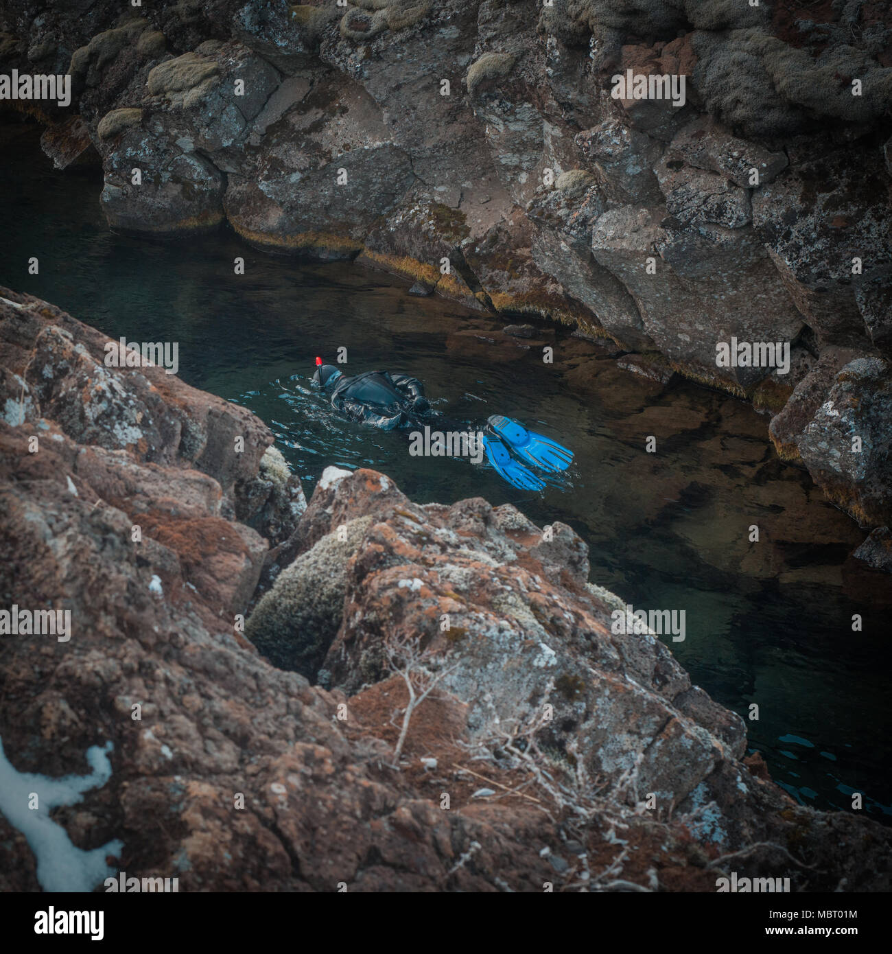 Plongée avec tuba entre les plaques continentales en Islande Banque D'Images