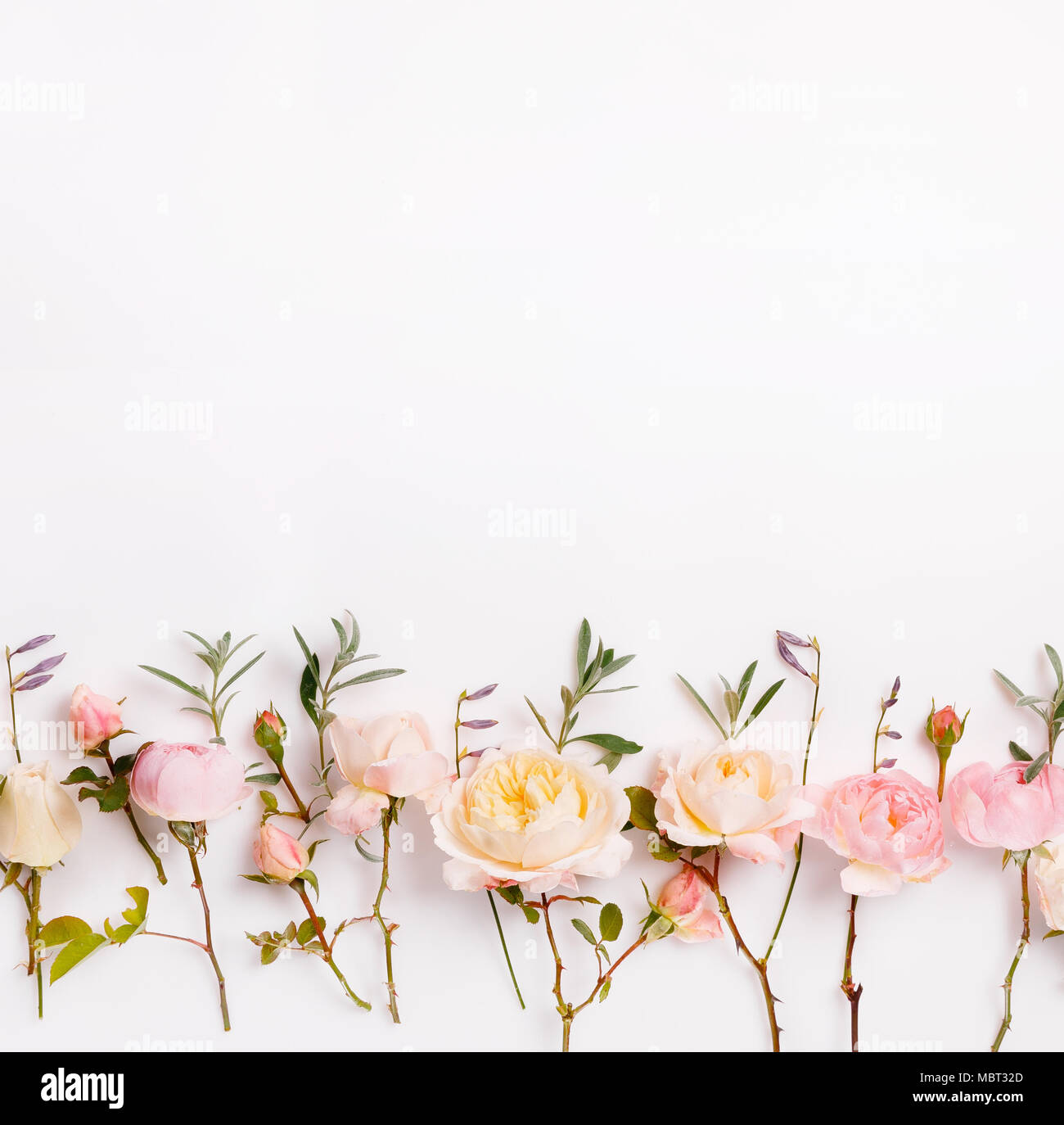 Fleur Rose Fête Anglais Composition Sur Le Fond Blanc Vue