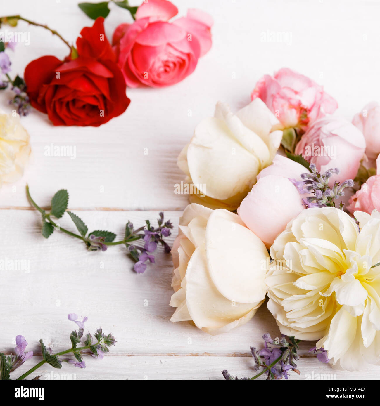 Fleur Rose Fête Anglais Composition Sur Le Fond Blanc Vue