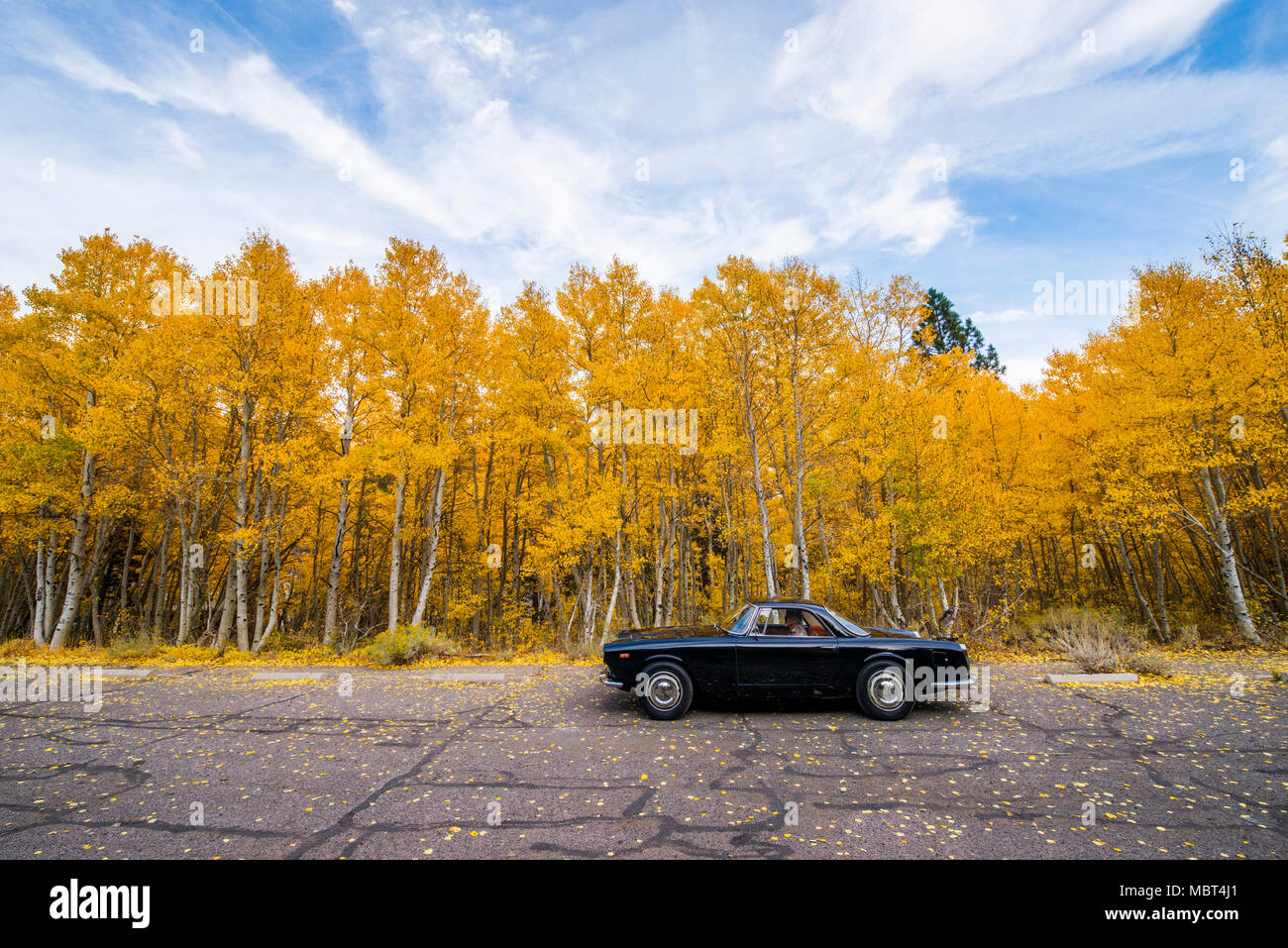 1961 Lancia Flaminia une voiture entourée par la couleur de l'automne en juin Lake, en Californie. Banque D'Images