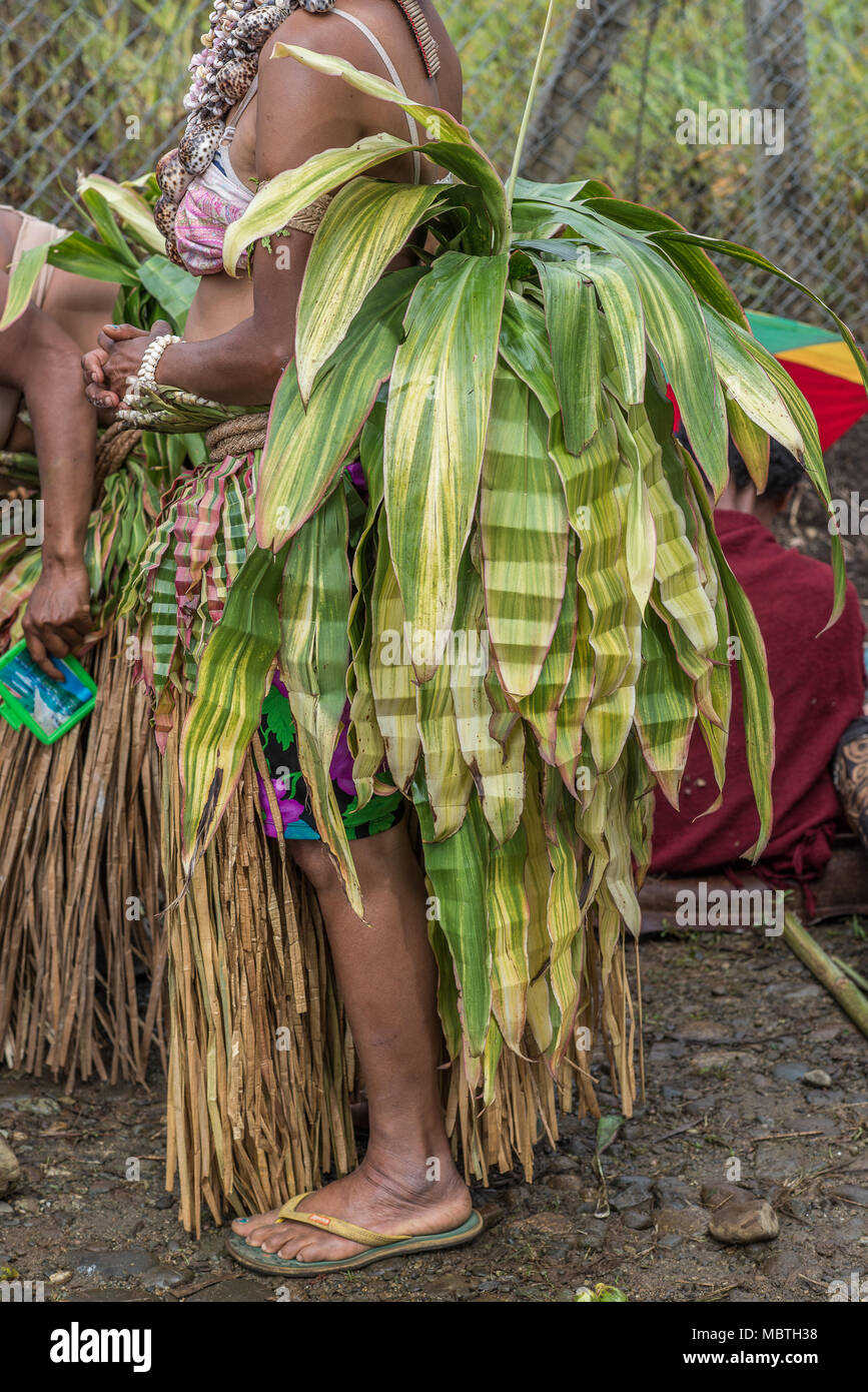 Jupe de feuilles et de la décoration d'une femme en costume traditionnel, le mont Hagen Spectacle culturel, Papouasie Nouvelle Guinée Banque D'Images