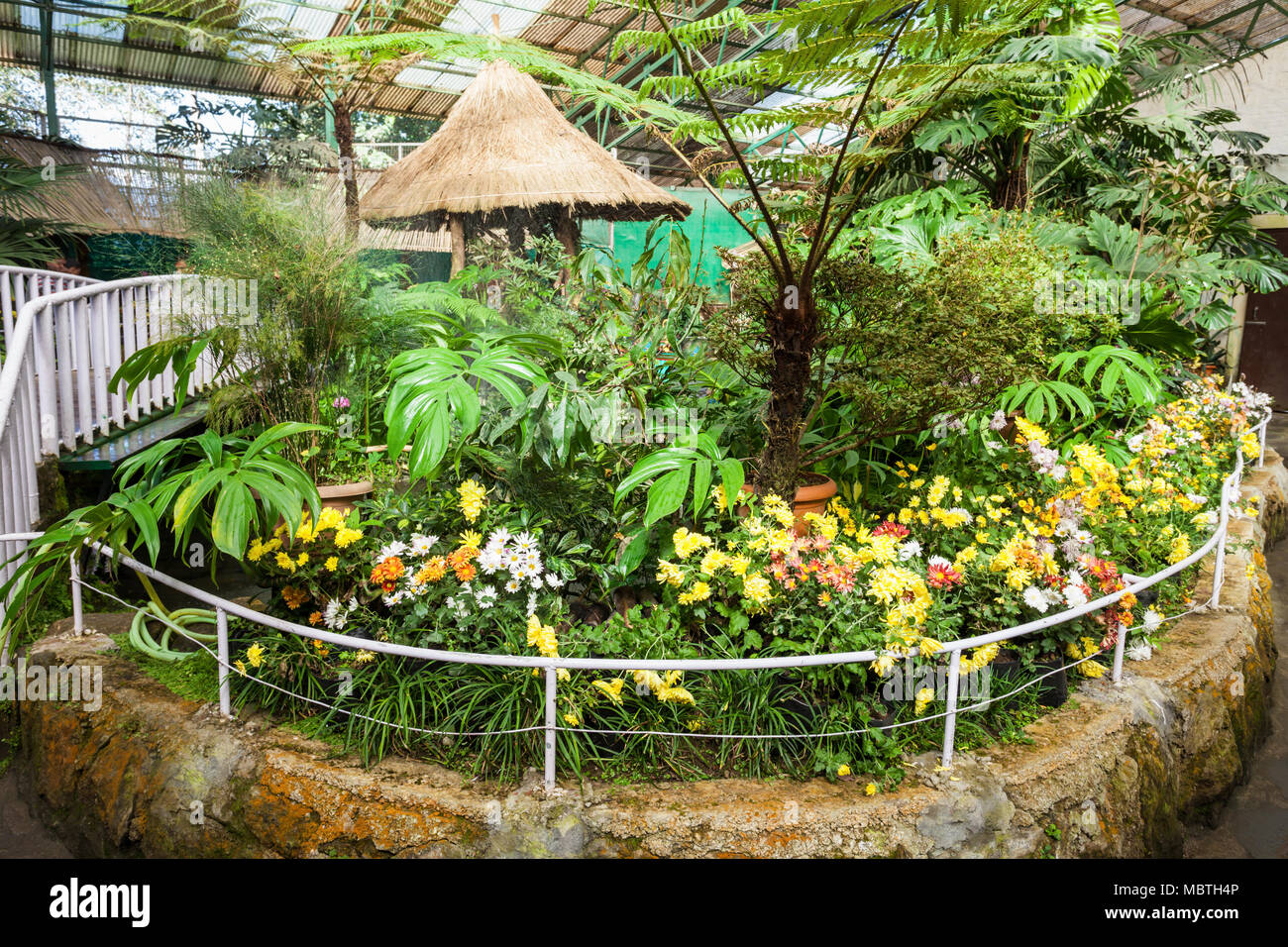 GANGTOK, INDE - Le 19 novembre 2015 : Centre d'exposition de fleurs à Gangtok, Sikkim etat de l'Inde. Banque D'Images