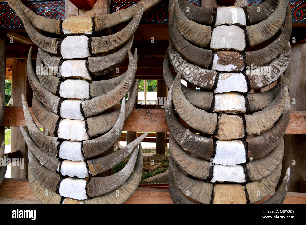 Cornes de buffle sur un Tongkonan Toraja de Sulawesi, Indonésie, Banque D'Images