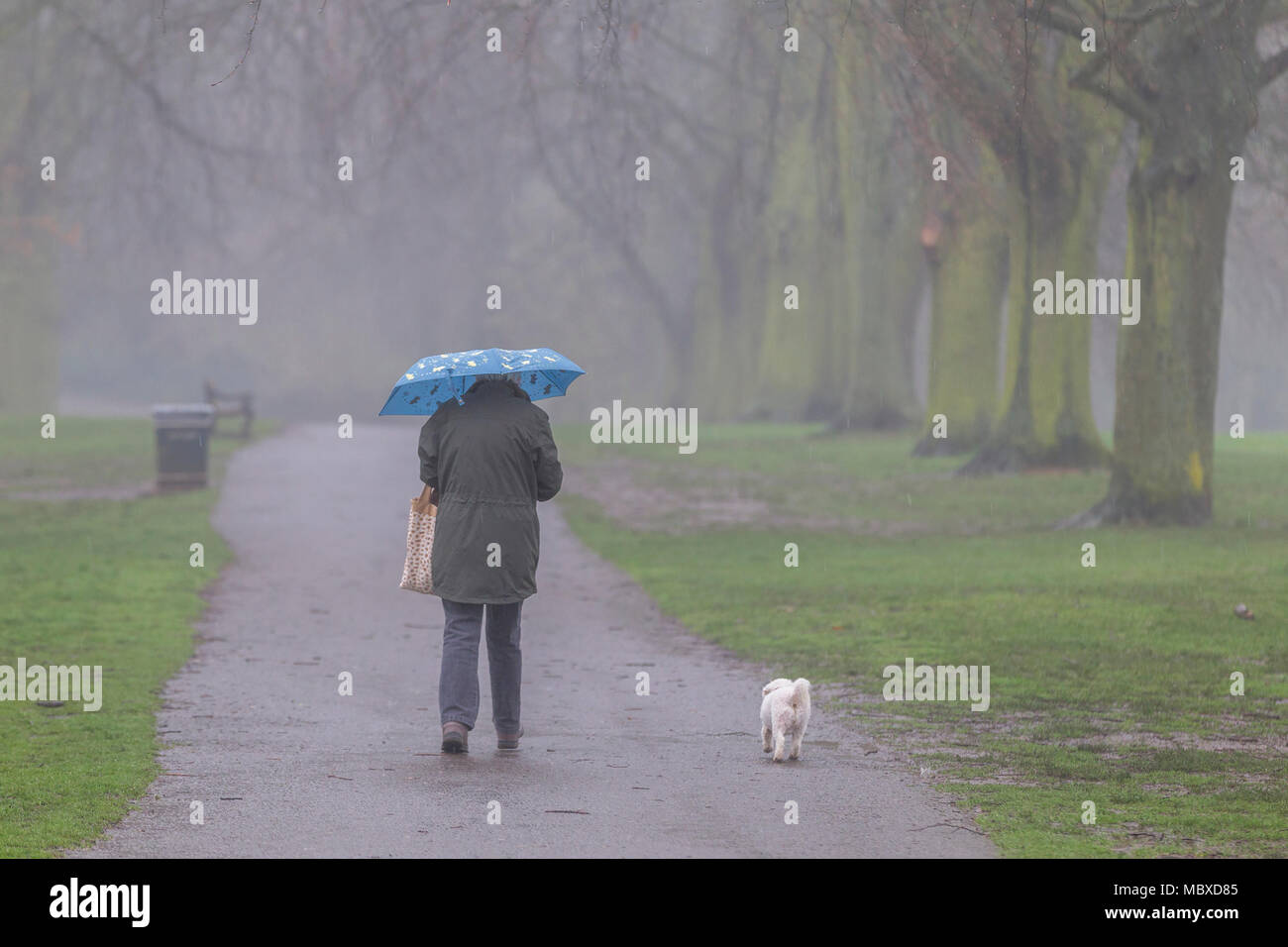 Northampton. Météo au Royaume-Uni. 12 avril 2018. Un autre mat, misérable humide matin n'empêche pas les gens de marcher il y a des chiens en Abington Park. Credit : Keith J Smith./Alamy Live News Banque D'Images