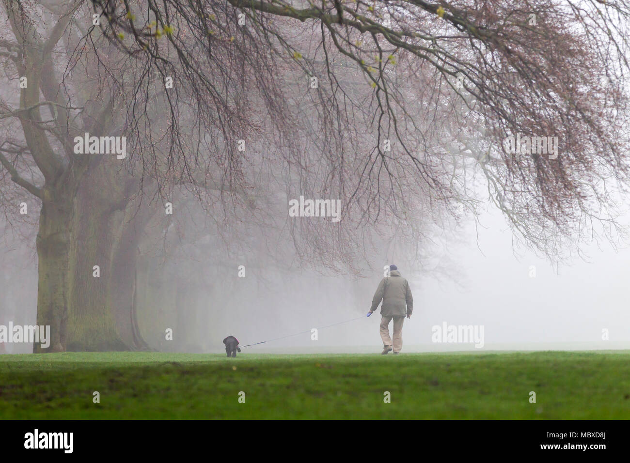 Northampton. Météo au Royaume-Uni. 12 avril 2018. Un autre mat, misérable humide matin n'empêche pas les gens de marcher il y a des chiens en Abington Park. Credit : Keith J Smith./Alamy Live News Banque D'Images