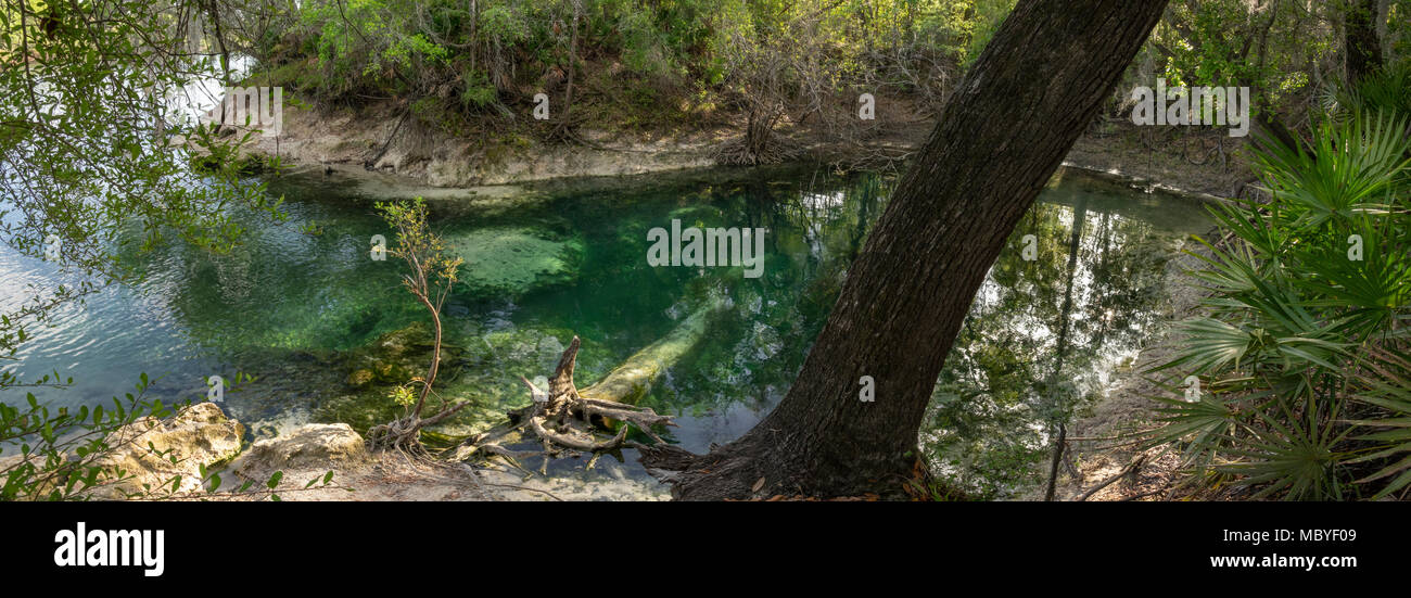Fletcher ressorts sur la rivière Suwannee, près de Belle en Floride Banque D'Images