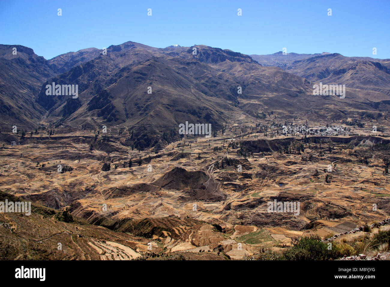 Donnant sur terrasse beaucoup de champs dans les Andes au Pérou. Cette large vallée devient plus tard sur le Canyon de Colca, le plus profond canyon de la planète. Banque D'Images