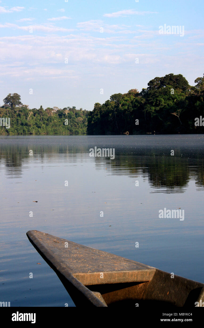 Un lac d'eau douce dans la forêt amazonienne, Réserve nationale de Tambopata, à Puerto Maldonado, Pérou Banque D'Images