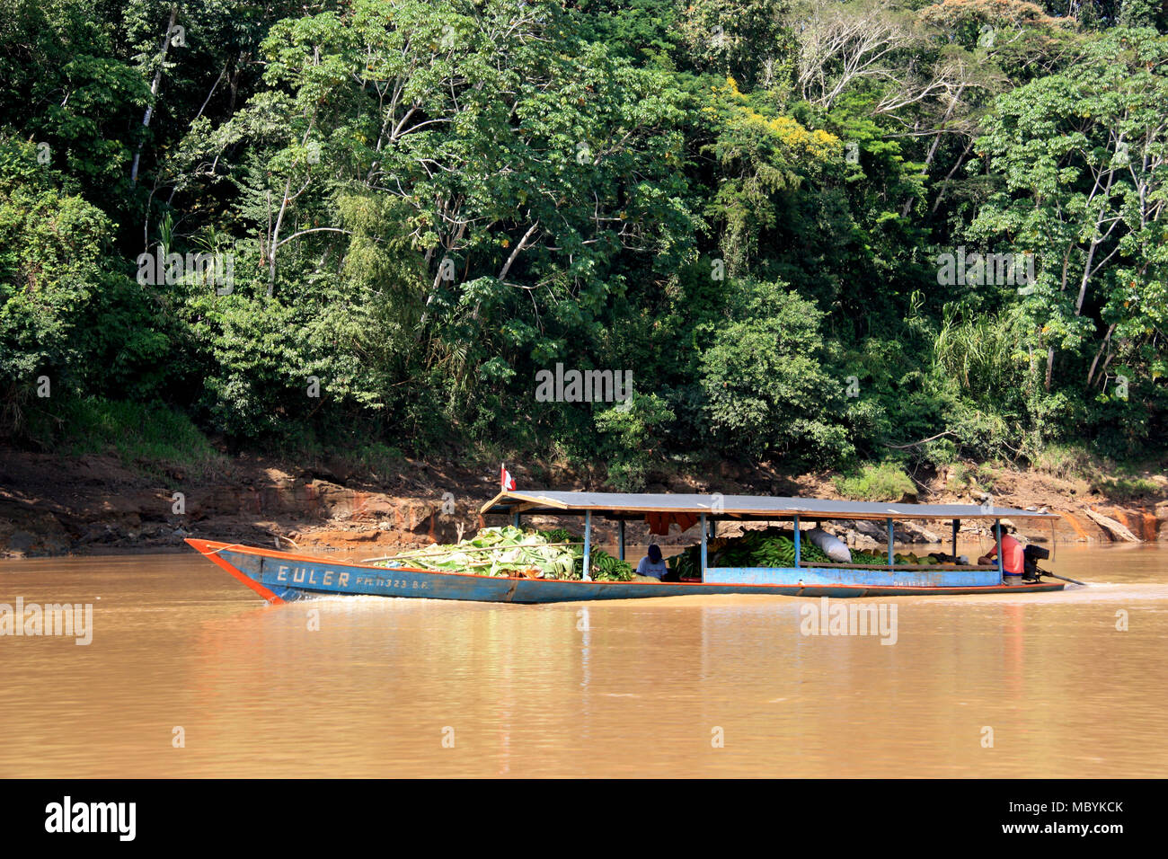 Bateau de transport de bananes dans la forêt amazonienne, Réserve nationale de Tambopata, à Puerto Maldonado, Pérou Banque D'Images