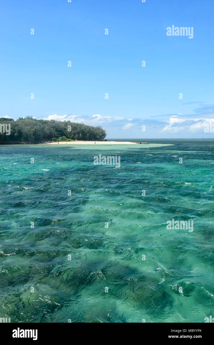 Les eaux turquoise de l'île Green, un corail cay au large de Cairns dans le Great Barrier Reef Marine National Park, Far North Queensland, Queensland, FNQ, GBR, Australi Banque D'Images