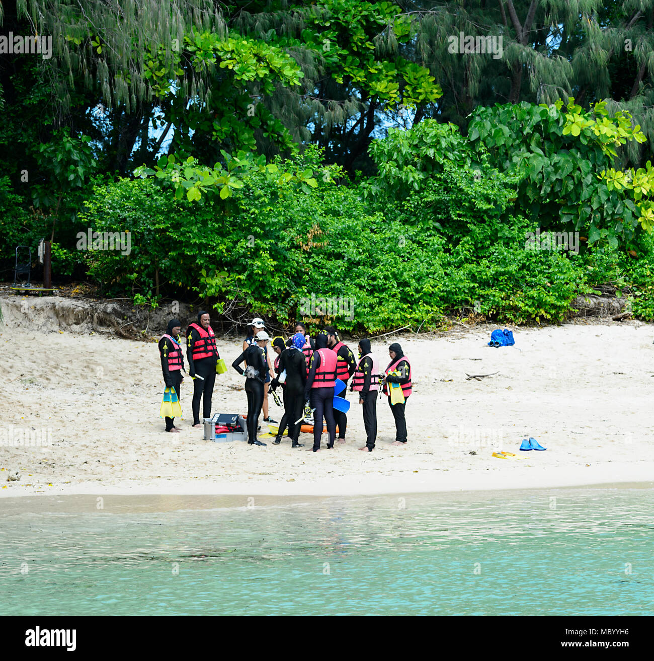 Un groupe d'amateurs asiatiques dans leurs costumes stinger à Green Island, un corail cay au large de Cairns dans le Great Barrier Reef Marine National Park, Grand Nord Q Banque D'Images