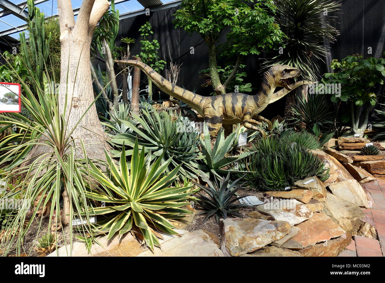 Dinosaure sculpture dans une pépinière de cactus à Melbourne Australie Victoria Banque D'Images
