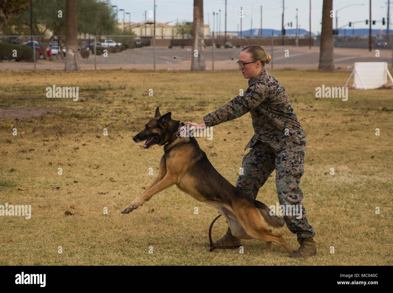 Les clients participant à la première Marine Corps Air Station Yuma (MCAS) Tournée d'hiver de l'année d'observer les capacités de la gare, une démonstration de l'unité K-9, et un parcours d'une démonstration à divers endroits sur le MCAS Yuma (Arizona), le 16 janvier 2017. Les tours n'ont pas été menées au cours des deux dernières années, mais ont été repris par le Colonel David A. Suggs, le commandant de la station, de construire une meilleure relation avec la communauté. (U.S. Marine Corps photo prise par le Cpl. Isaac Martinez) Banque D'Images