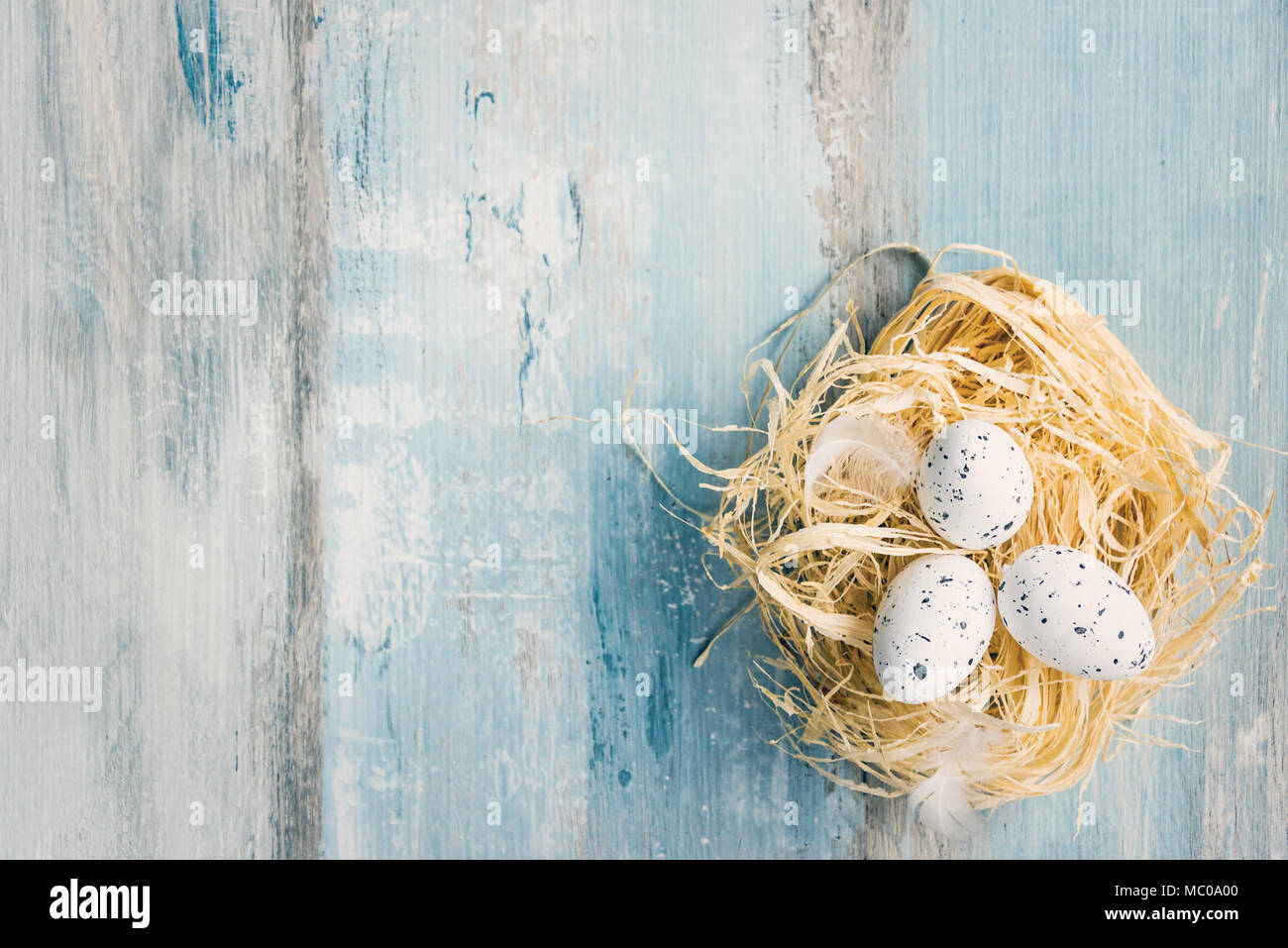 Vue de dessus d'œufs de Pâques dans un nid. Arrière-plan bleu en bois de style rustique. Copier l'espace. Banque D'Images