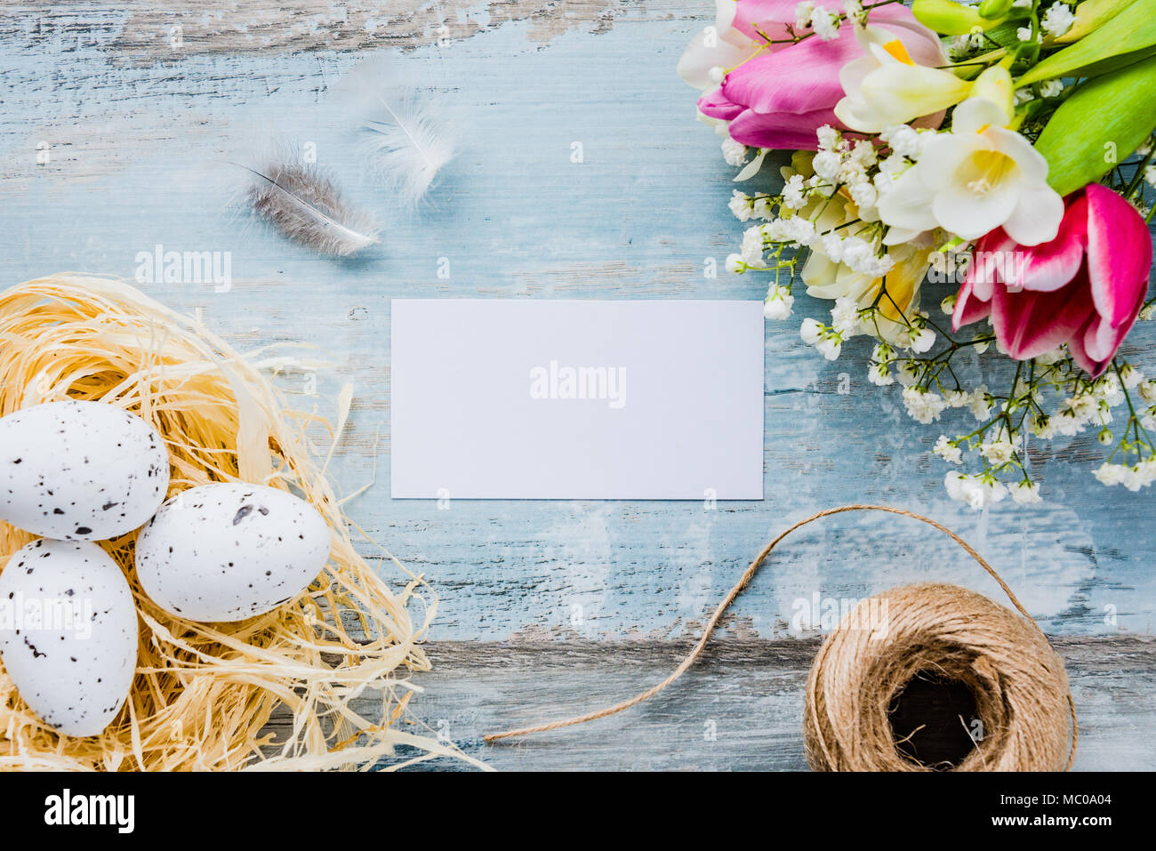 Vue de dessus d'œufs de Pâques dans un nid. Fleurs de Printemps et plumes sur fond bleu en bois rustique. Carte vide. Banque D'Images