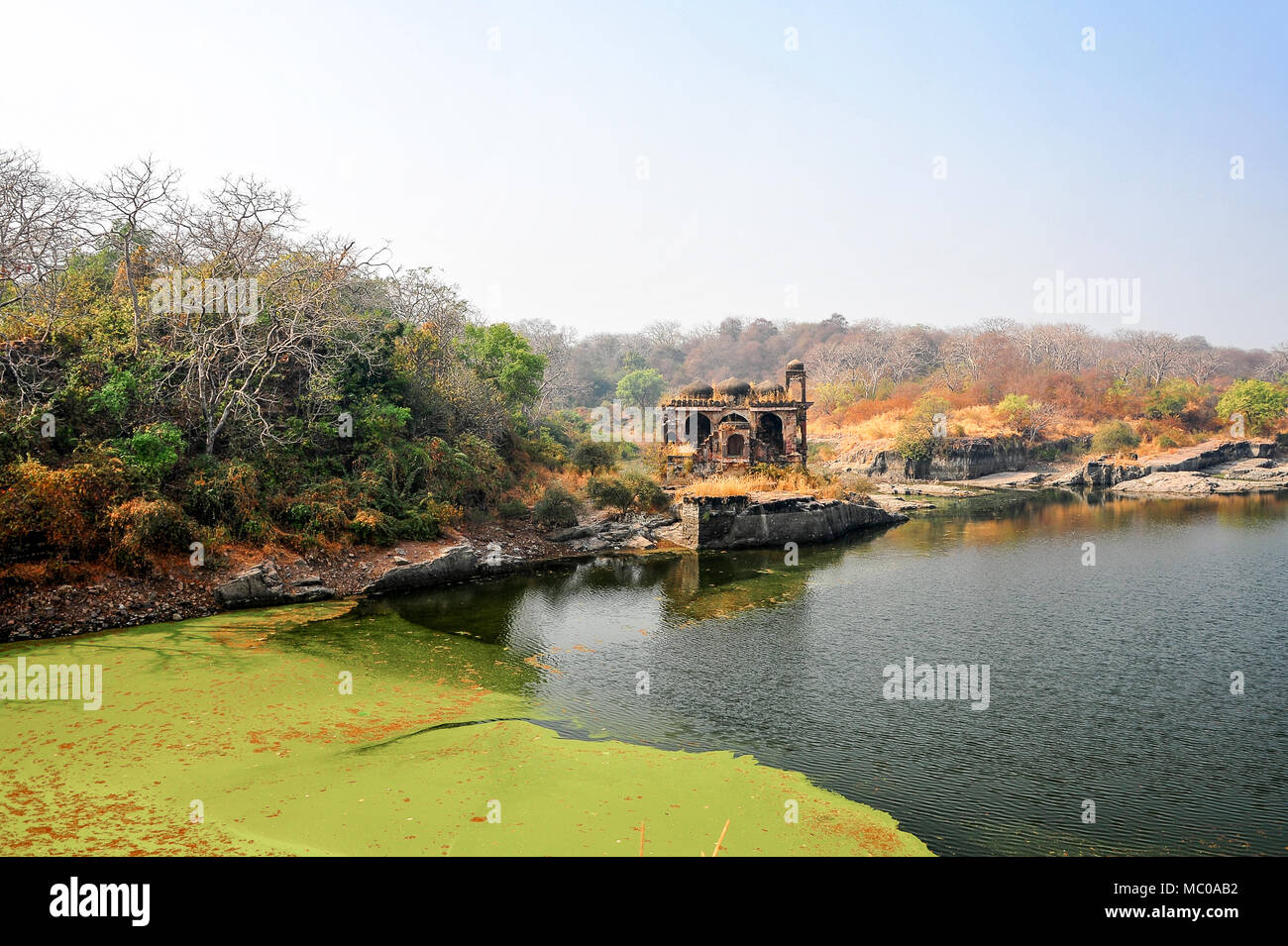 Lumière douce, les couleurs chaudes, magique scène au bord du lac. Les ruines de Badal Mahal ou le palais dans les nuages, Rani Kund Lake, Fort de Ranthambore en Inde Banque D'Images