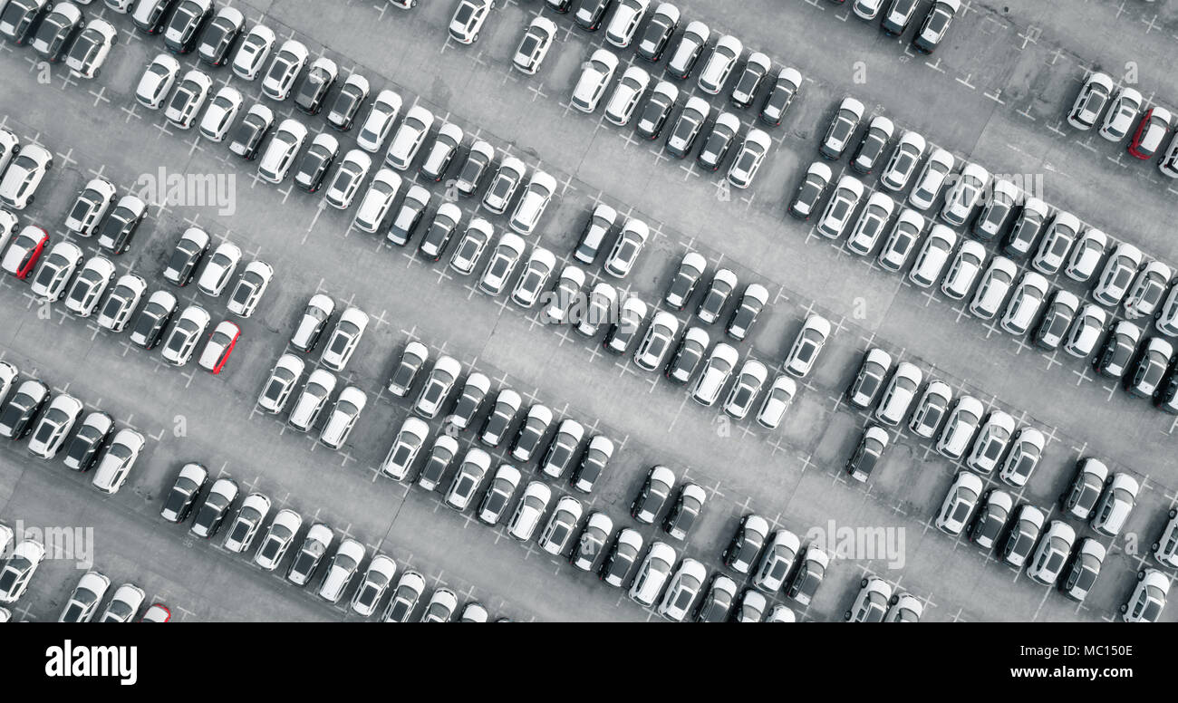 Vue aérienne de nouvelles voitures alignées dans le port Banque D'Images