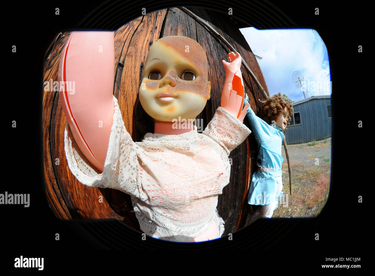 Brûlé et poupées fissurés se suspendre à une porte de grange à Capay  Valley, CA Photo Stock - Alamy
