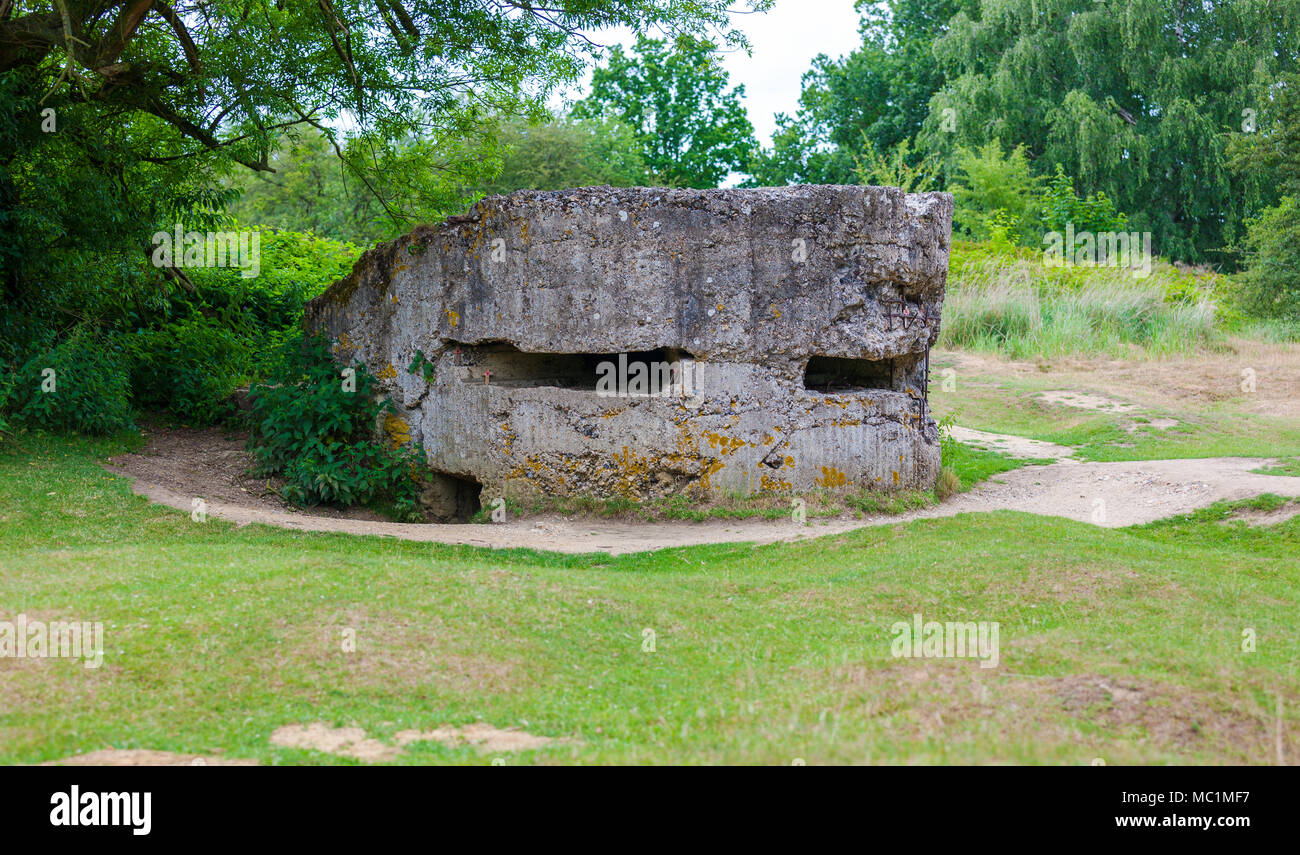 Old German World War One Bunker sur front de l'Ouest, près d'Ypres, Belgique Banque D'Images