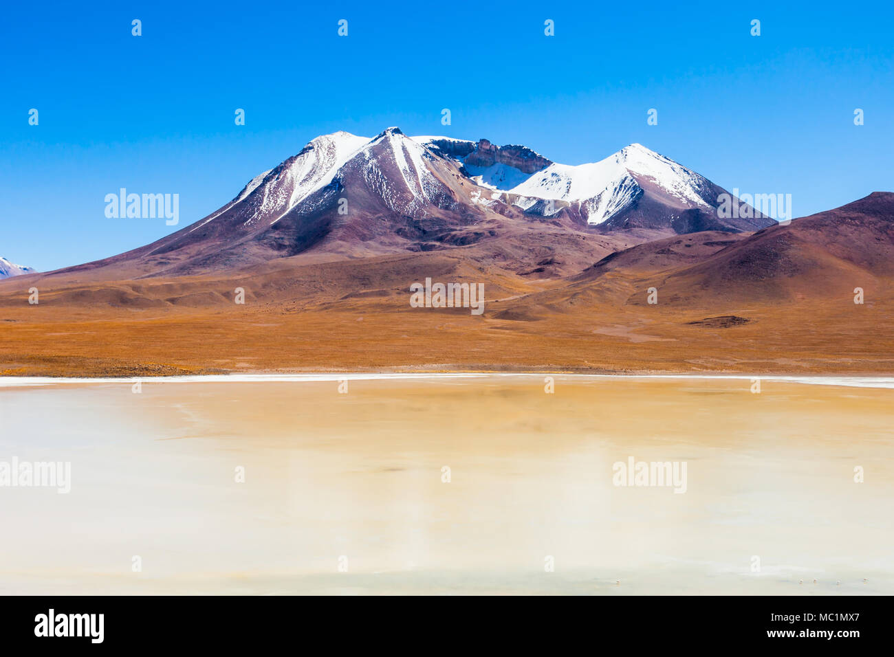 Laguna Canapa est un lac salé dans l'Altiplano de Bolivie Banque D'Images